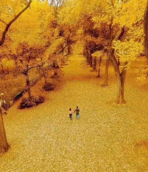 عکس های زیبای پاییز برای پروفایل