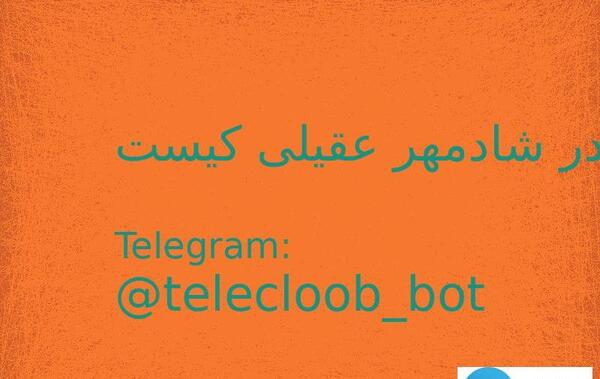عکس ژینا کلانتری و شادمهر