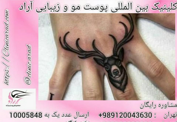عکس تاتو گوزن روی دست
