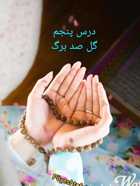 عکس نقاشی گل صد برگ هدیه پنجم