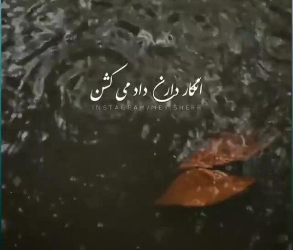 عکس استوری پاییز شادمهر
