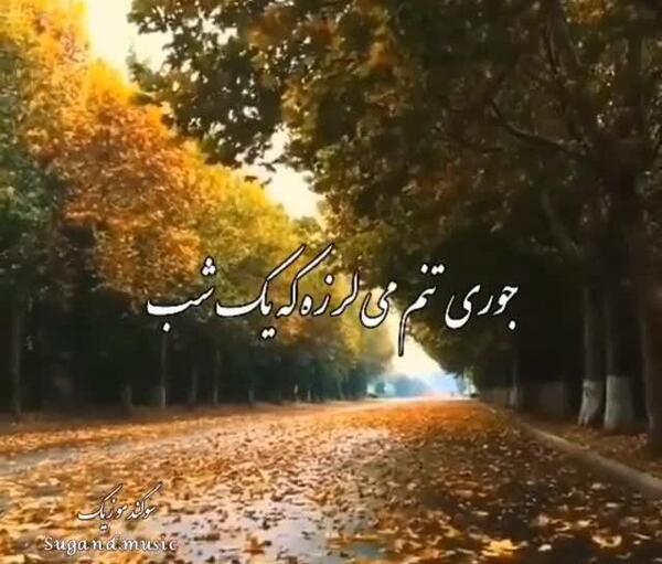عکس استوری پاییز شادمهر