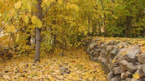 عکس پاییزی روستایی