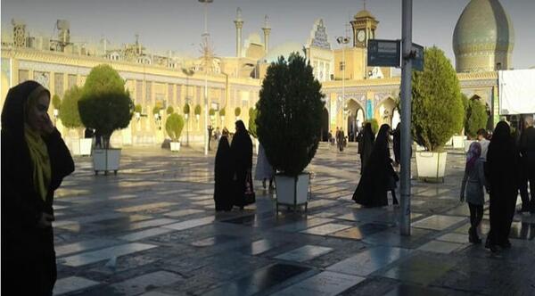 عکس قبر طوطی