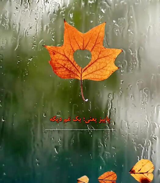 عکس استوری های پاییز