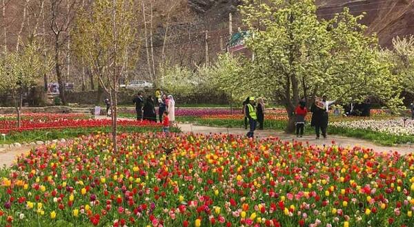عکس پاییزی غذا