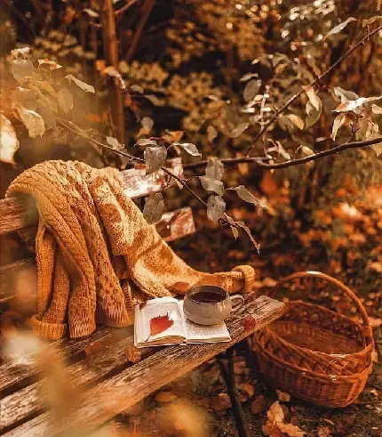 عکس کتاب و پاییز برای پروفایل