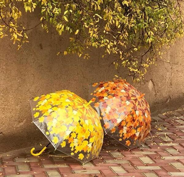 عکس پروفایل پاییزی چتر