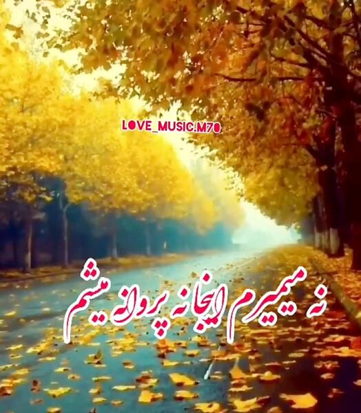عکس برای استوری واتساپ پاییز