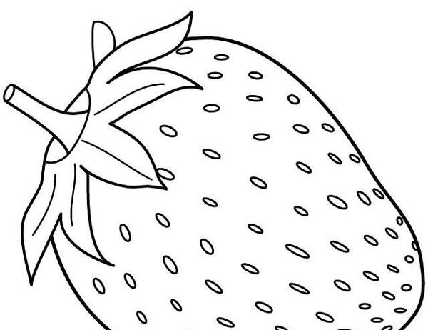 عکس نقاشی زیبا میوه