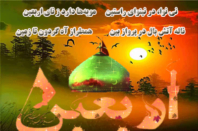 عکس خانم اربعین