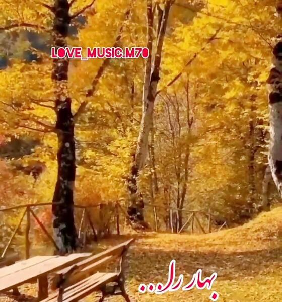 عکس استوری پاییزی دخترونه شاد