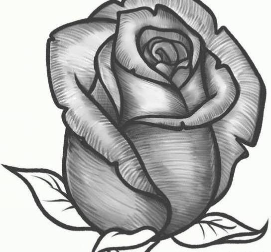 عکس نقاشی زیبا طراحی
