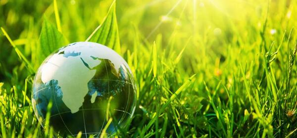 عکس روز جهانی محیط زیست