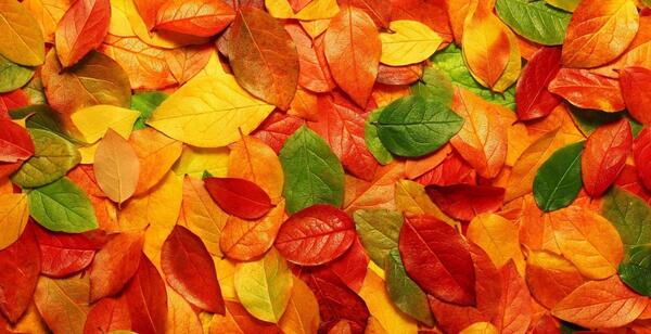 عکس تصاویر زیبای پاییزی فول اچ دی