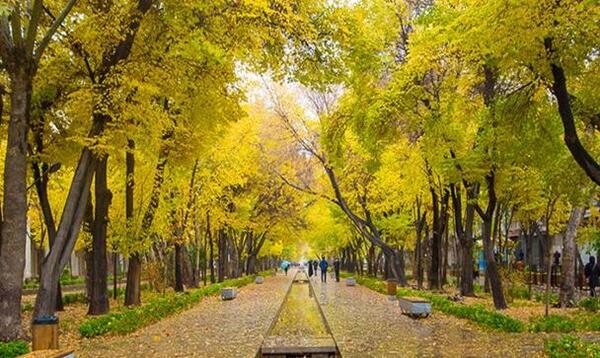 عکس زیبای پاییز بارانی
