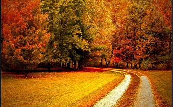 عکس استوری طبیعت پاییز