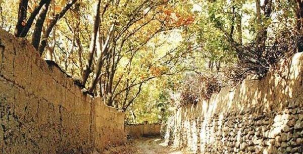 عکس دشت پاییزی