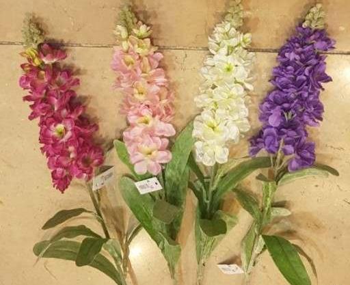 عکس نقاشی گل شب بو