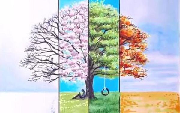 عکس نقاشی ساده چهار فصل