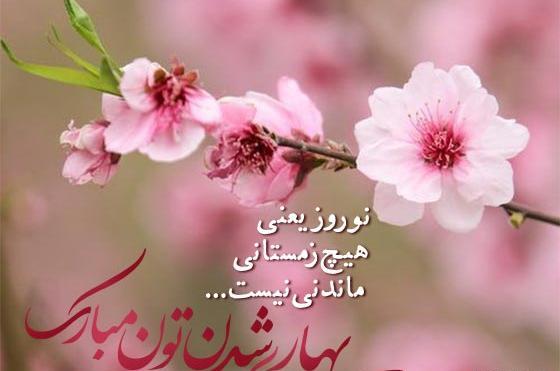 عکس برای وضعیت واتساپ عید نوروز ۱۴۰۳