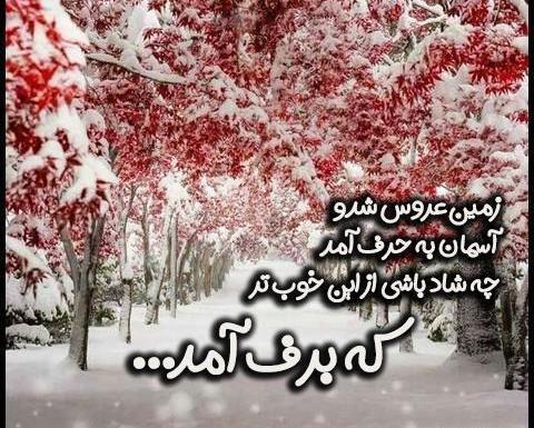 عکس استوری پاییز امد