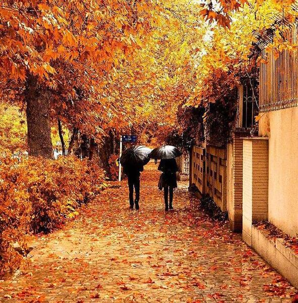 عکس پاییزی و عاشقانه
