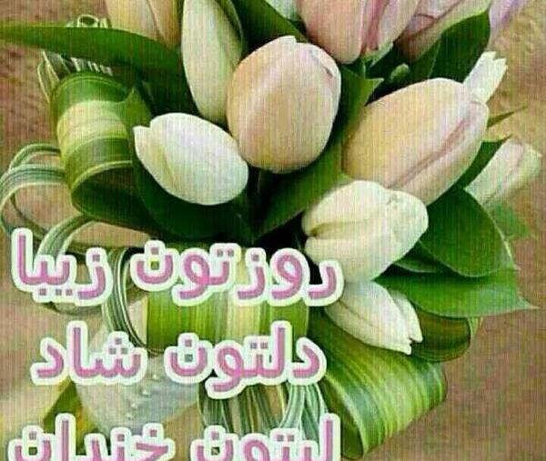 عکس روز همگی بخیر