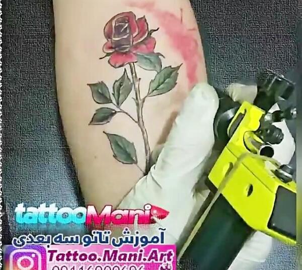 عکس گل رز طرح تاتو گل