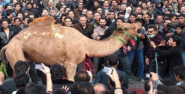 عکس روز قربانی