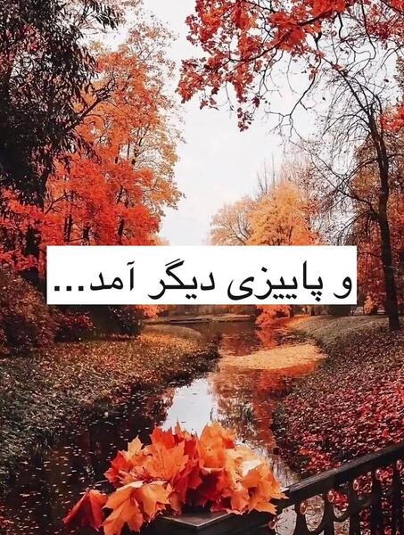 عکس استوری پاییز امد در میان درختان