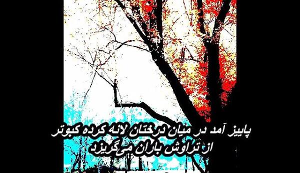 عکس استوری پاییز امد در میان درختان