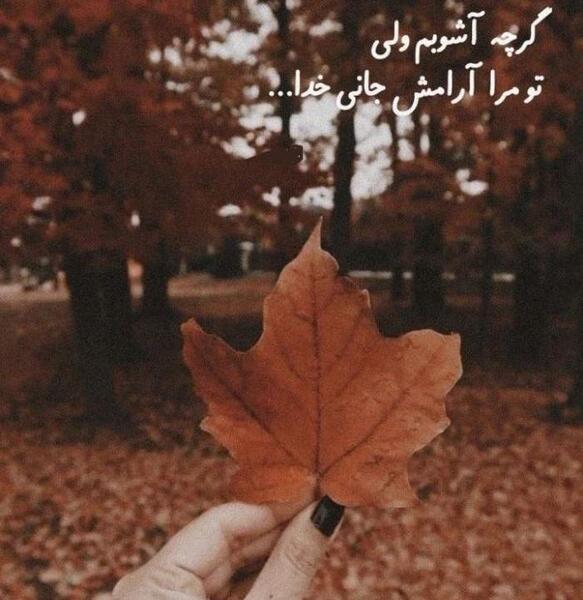 عکس استوری پاییز امد در میان درختان