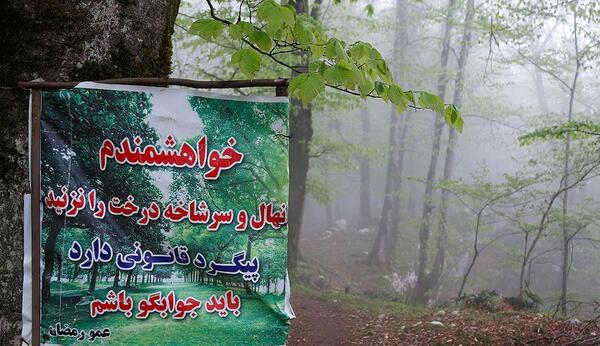 عکس روز جهانی جنگل