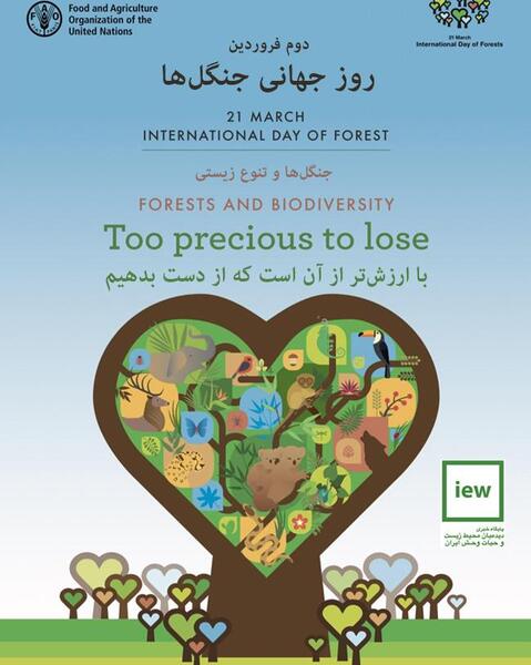 عکس روز جهانی جنگل