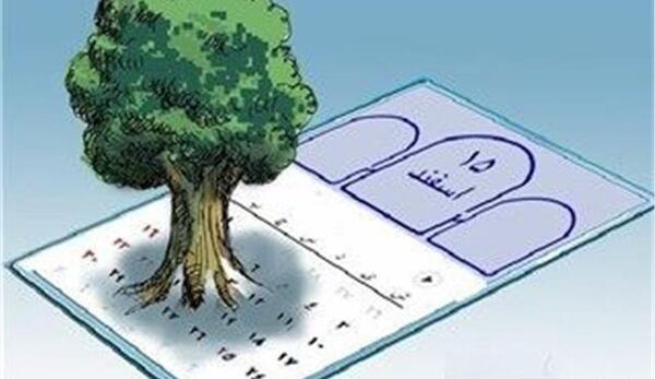 عکس روز جهانی جنگل
