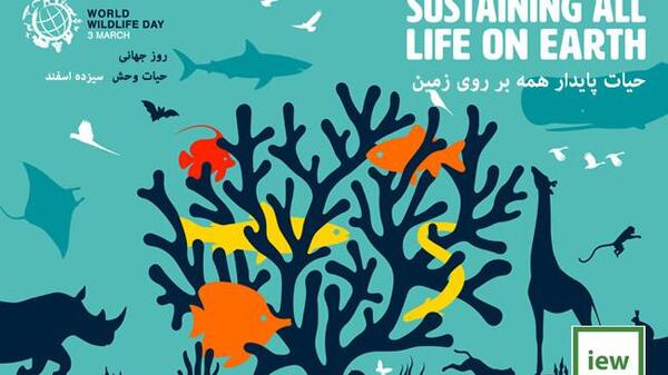 عکس تصاویر روز جهانی حیات وحش