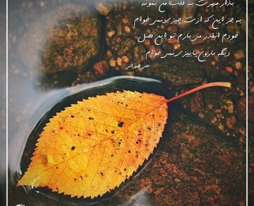 عکس استوری ورود پاییز