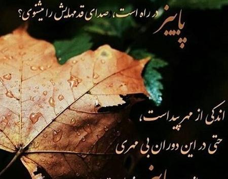 عکس استوری پاییز دونفره