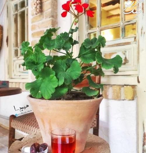 عکس پروفایل فیک پاییزی دخترونه