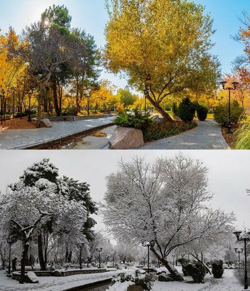 عکس پاییز در زمستان