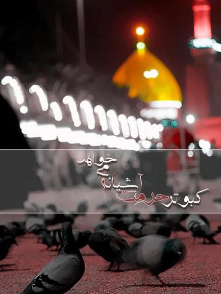 عکس بین الحرمین تولد امام حسین