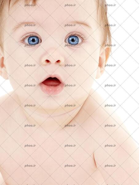 عکس دایناسور یک چشم