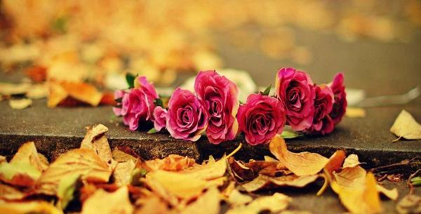 عکس پاییزی واسه پروفایل