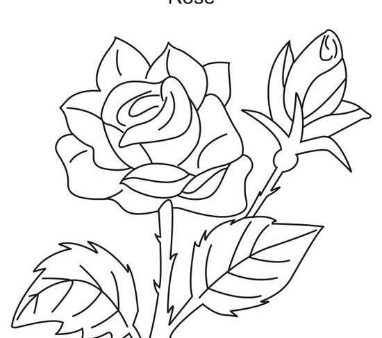 عکس نقاشی گل برای روز پدر