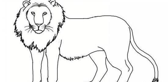 عکس نقاشی زیبا شیر