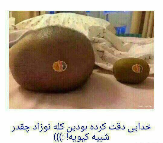 عکس خنده دار شب یلدا