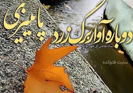 عکس استوری ناب پاییزی