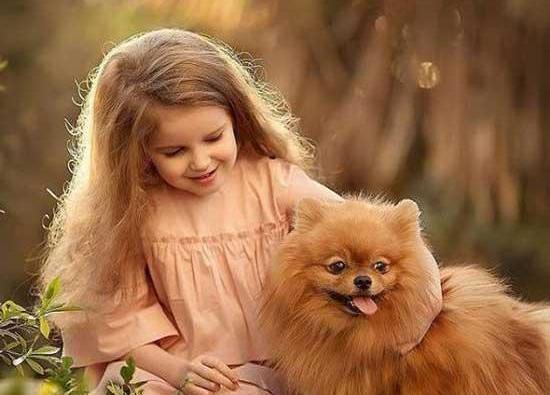 عکس برای پروفایل سگ
