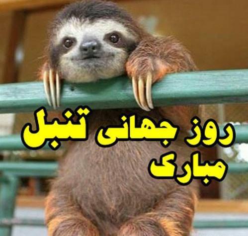 عکس روز جهانی تنبل